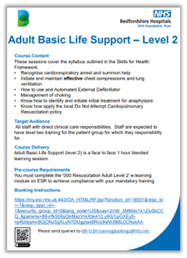 Course Flyer